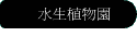 ʹӪ
