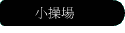 p޳