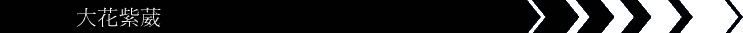 �j�ᵵ߻
