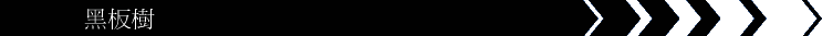 ªO